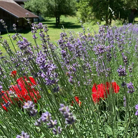 Bobbies Nest Holiday home Schladming