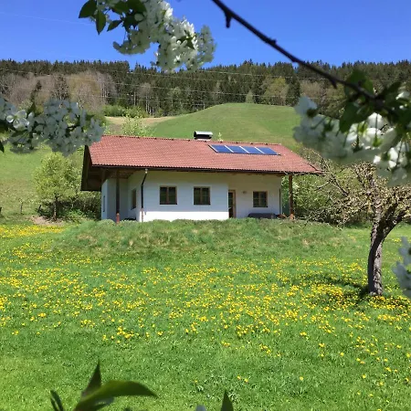Bobbies Nest Schladming